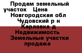 Продам земельный участок › Цена ­ 1 000 000 - Новгородская обл., Чудовский р-н, Карловка д. Недвижимость » Земельные участки продажа   